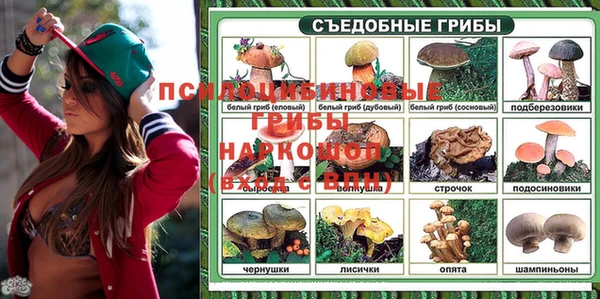 скорость Абинск
