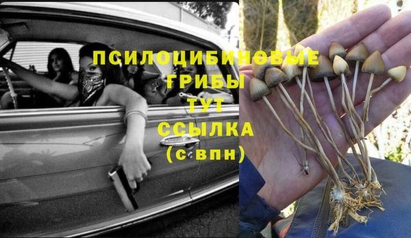 соль ск Алексин