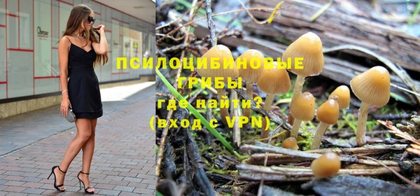 индика Покров
