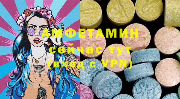 хмурый Алзамай