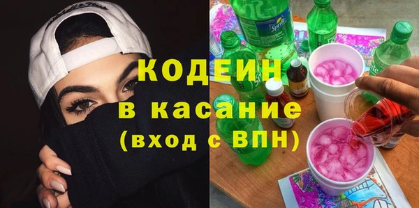хмурый Алзамай
