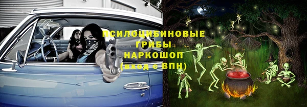 хмурый Алзамай