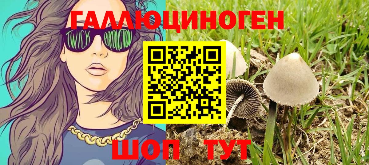 Псилоцибиновые грибы MAGIC MUSHROOMS Уварово
